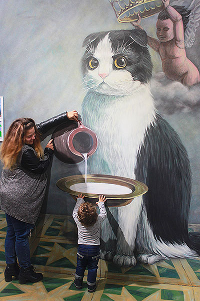 Музей иллюзий кошка