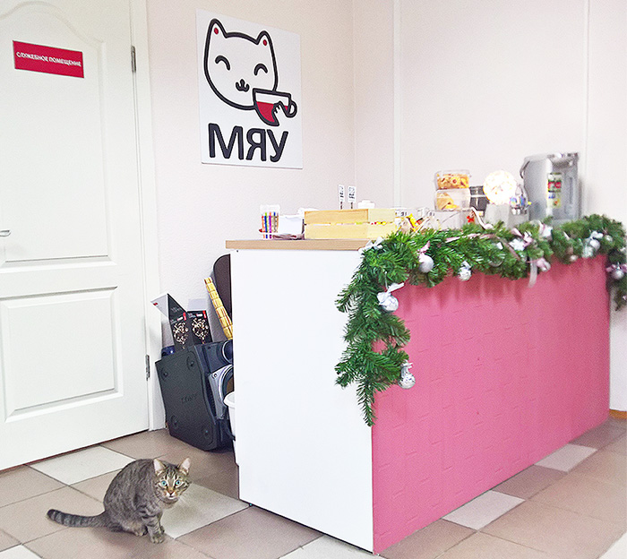 Тайм-кафе Meow Gallery